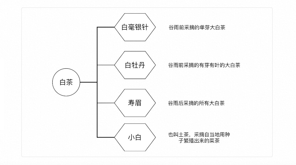 白茶分类图