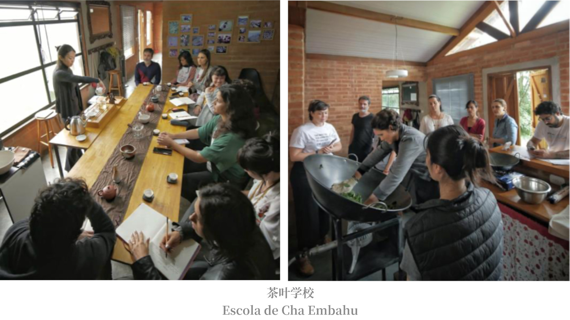 Escola de Cha Embahu茶叶教学现场